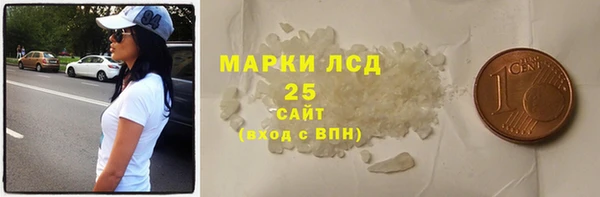 прущие грибы Алзамай